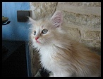0009 jai 2 mois je mappelle encore Aldrik